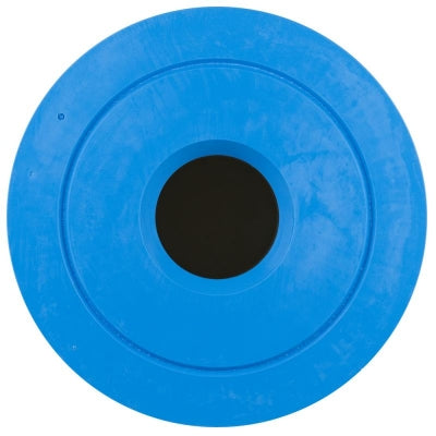 81252 Sundance Spas Filter