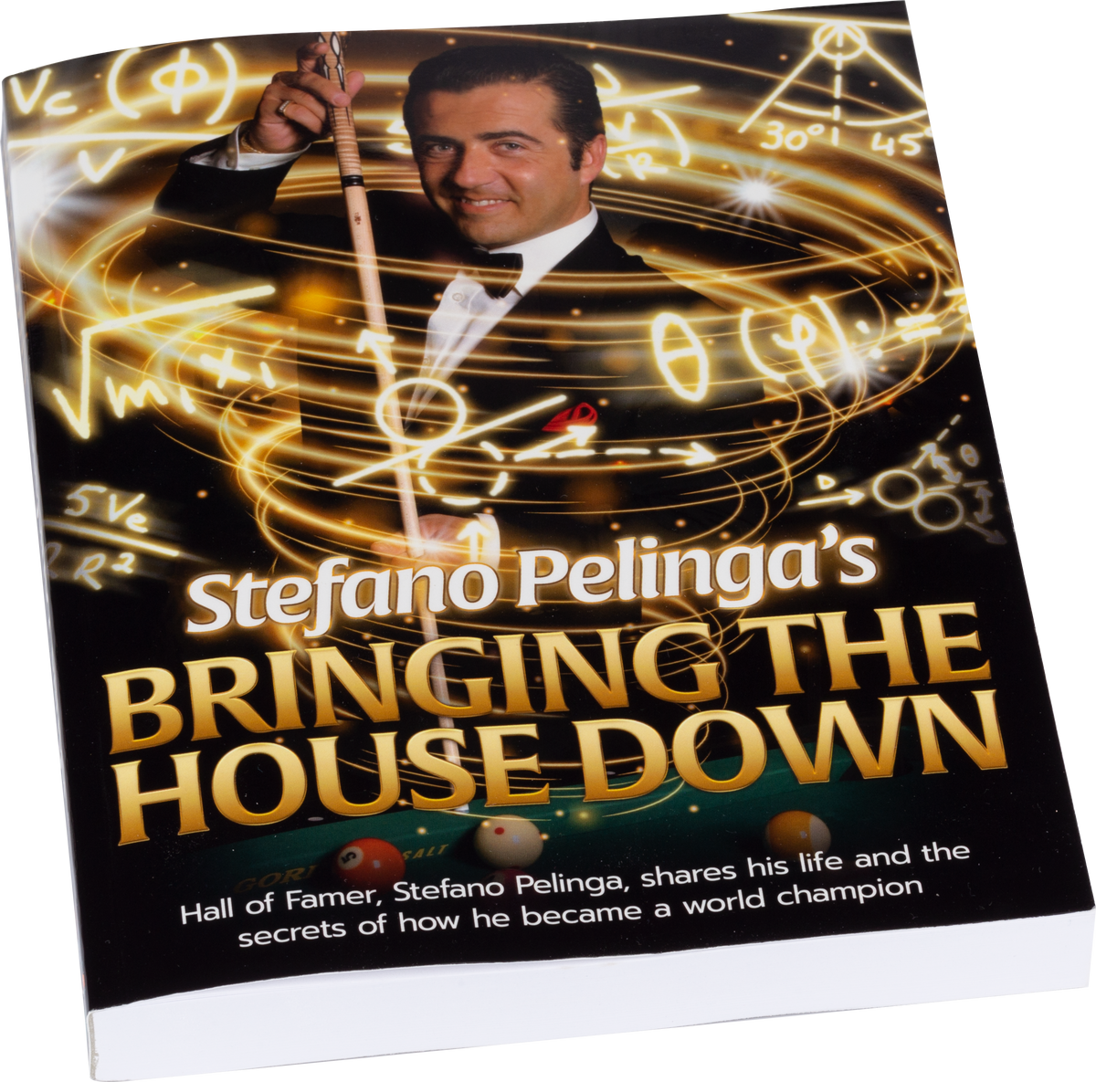 Stefano Pelinga's BKBTHD Bringing the House Down Book Stefano Pelinga's