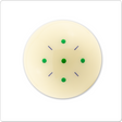 Aramith IPQT Q-Tru Training Ball Aramith